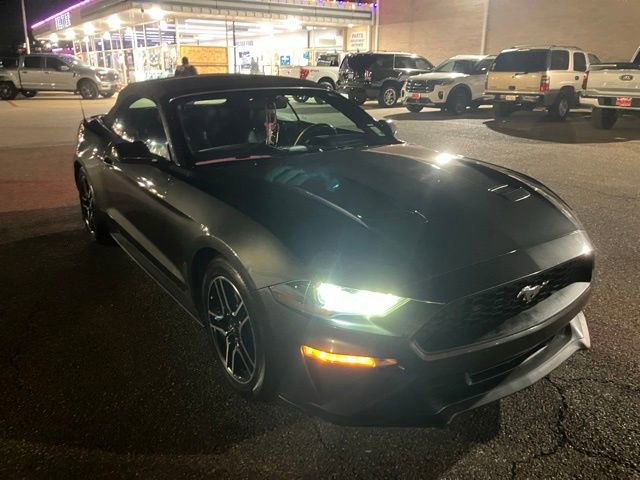 Used 2019 Ford Mustang Premium video 1