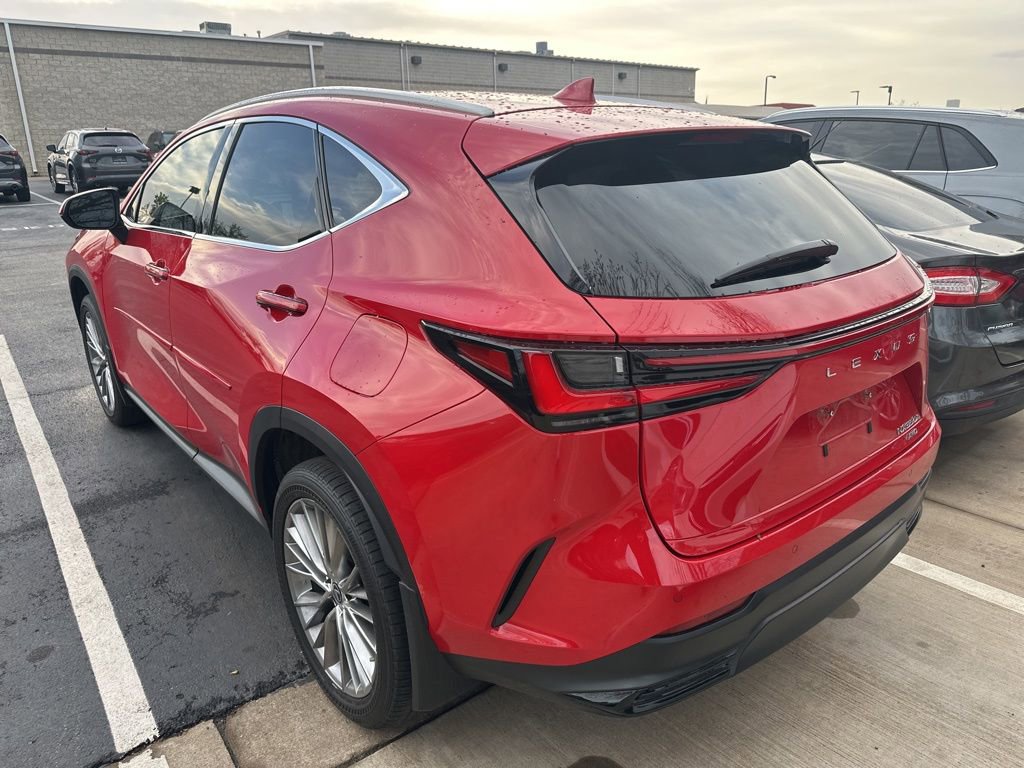 Used 2023 Lexus NX 350h AWD image 5
