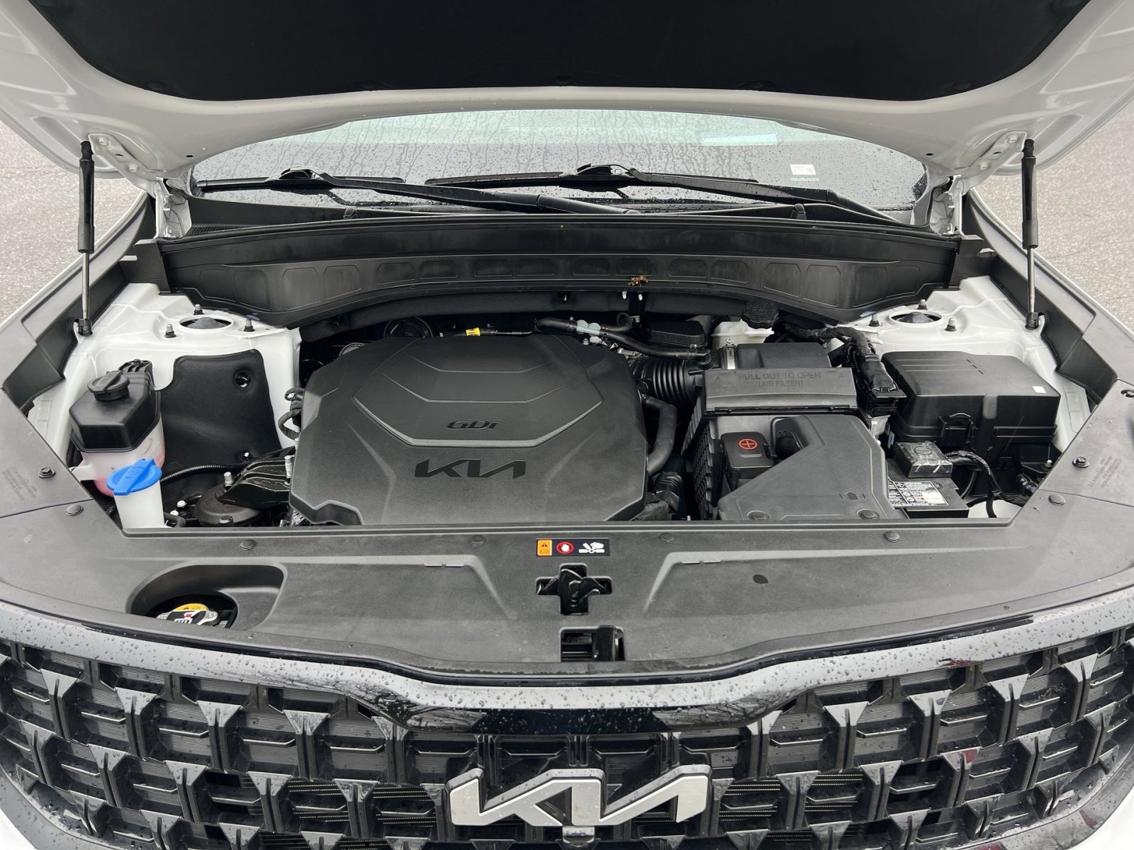 Used 2024 Kia Telluride SX Prestige X-Line image 29