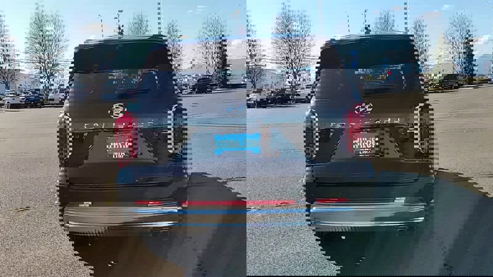 Used 2025 Hyundai Palisade Calligraphy image 7