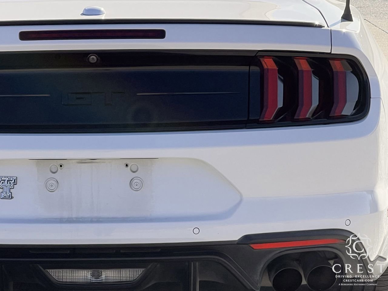 Used 2019 Ford Mustang GT Premium w/ Equipment Group 401A image 6