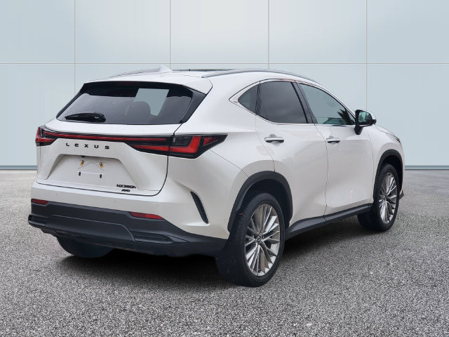 Used 2025 Lexus NX 350h AWD w/ Accessory Package (2T) image 4