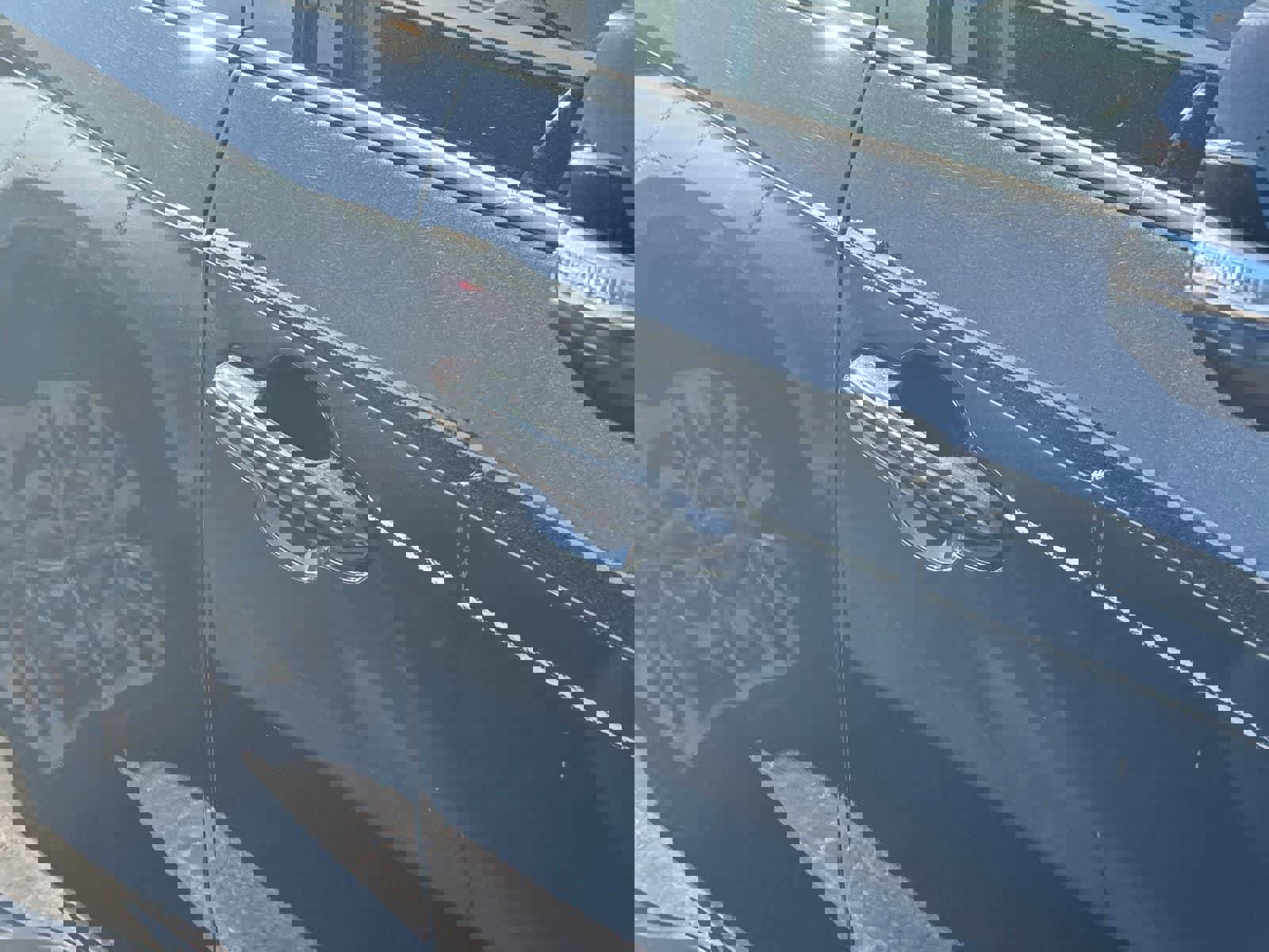 Certified 2025 Toyota RAV4 XLE image 7