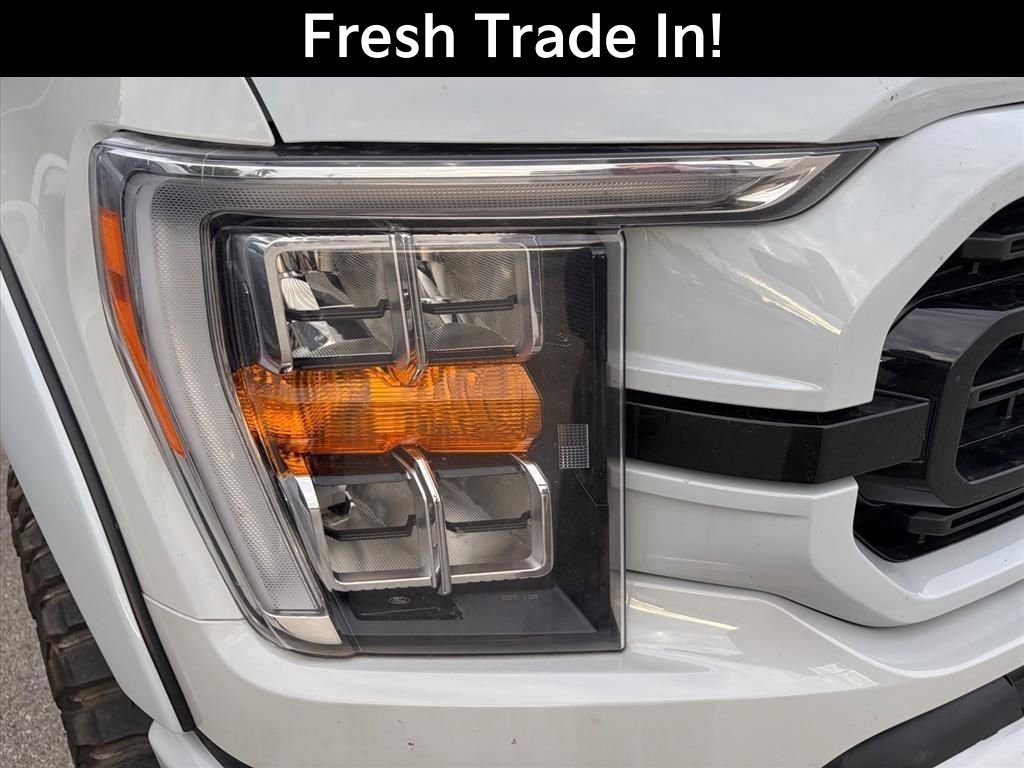 Used 2023 Ford F150 XLT w/ Equipment Group 302A High AWD/4WD image 5