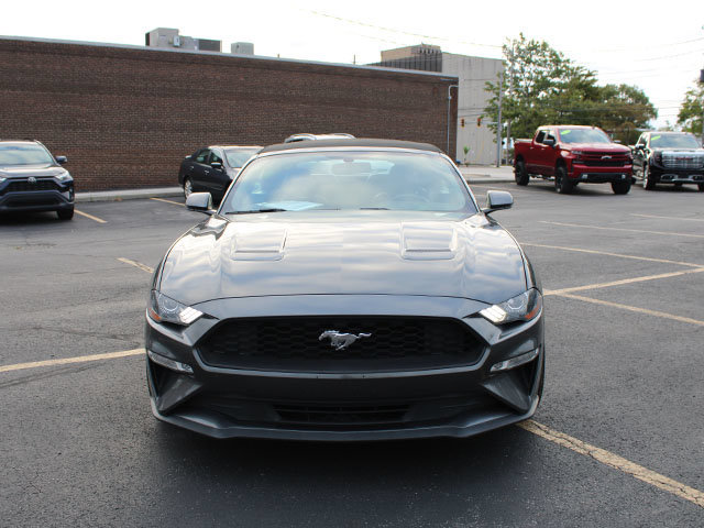 Used 2019 Ford Mustang Premium RWD image 3