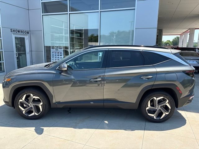Used 2024 Hyundai Tucson Limited AWD/4WD image 4