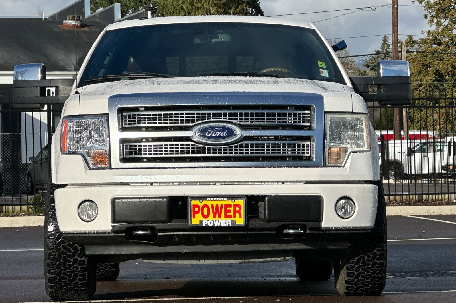 Used 2010 Ford F150 Platinum image 9