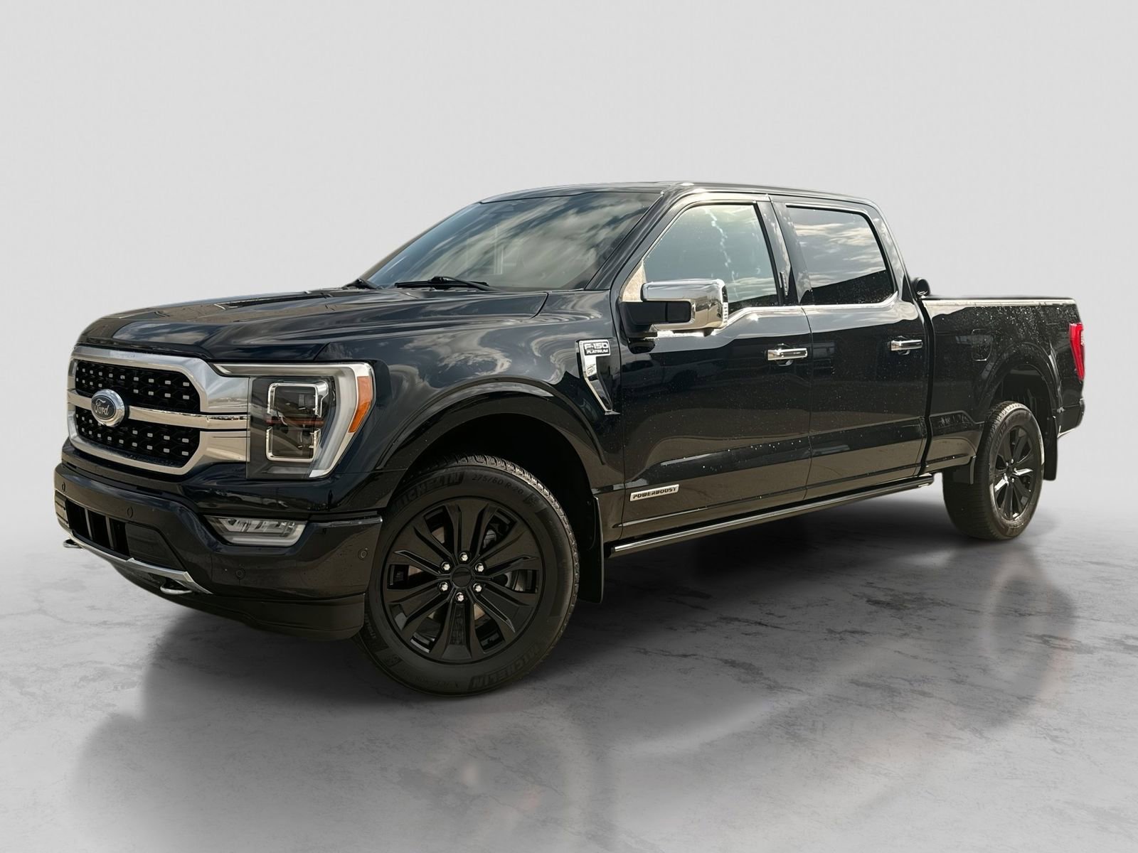 Used 2023 Ford F150 Platinum w/ Max Trailer Tow Package AWD/4WD image 1