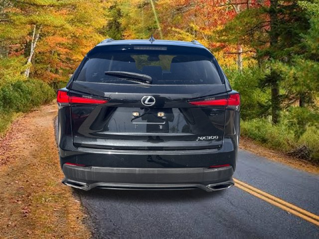 Used 2020 Lexus NX 300 AWD w/ Comfort Package image 4