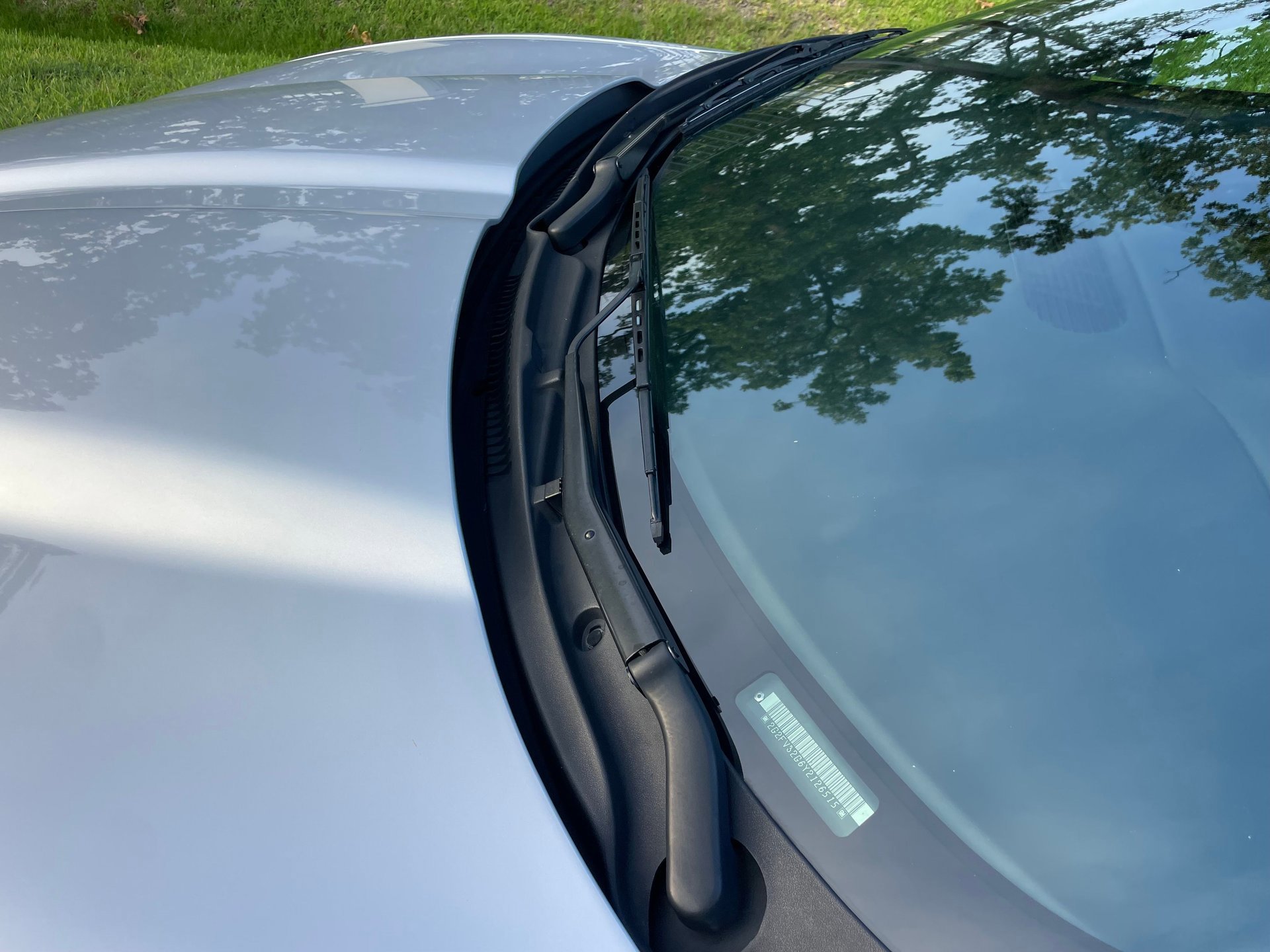 Used 2000 Pontiac Firebird Trans Am image 12