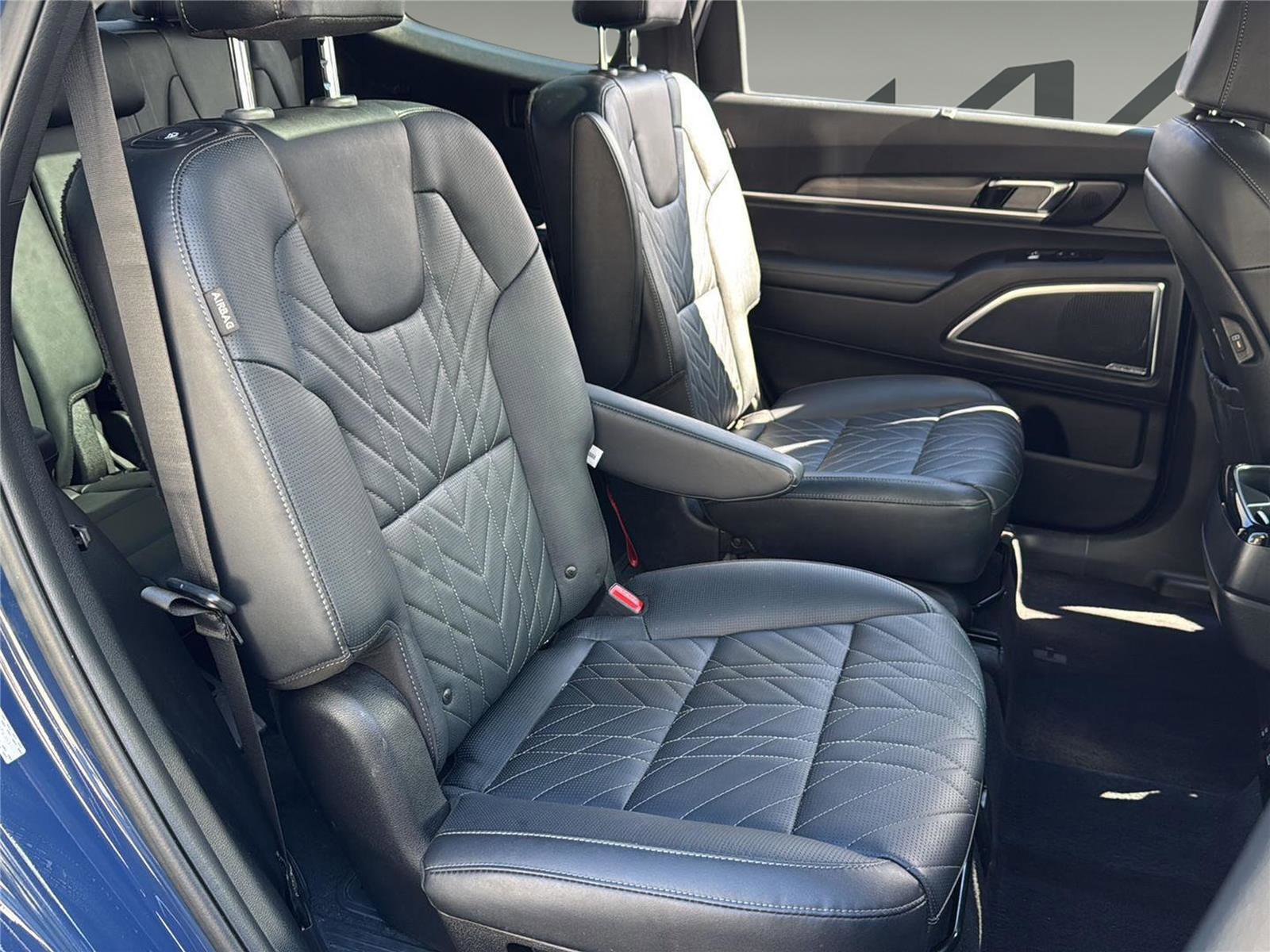 Used 2023 Kia Telluride SX Prestige X-Pro image 30