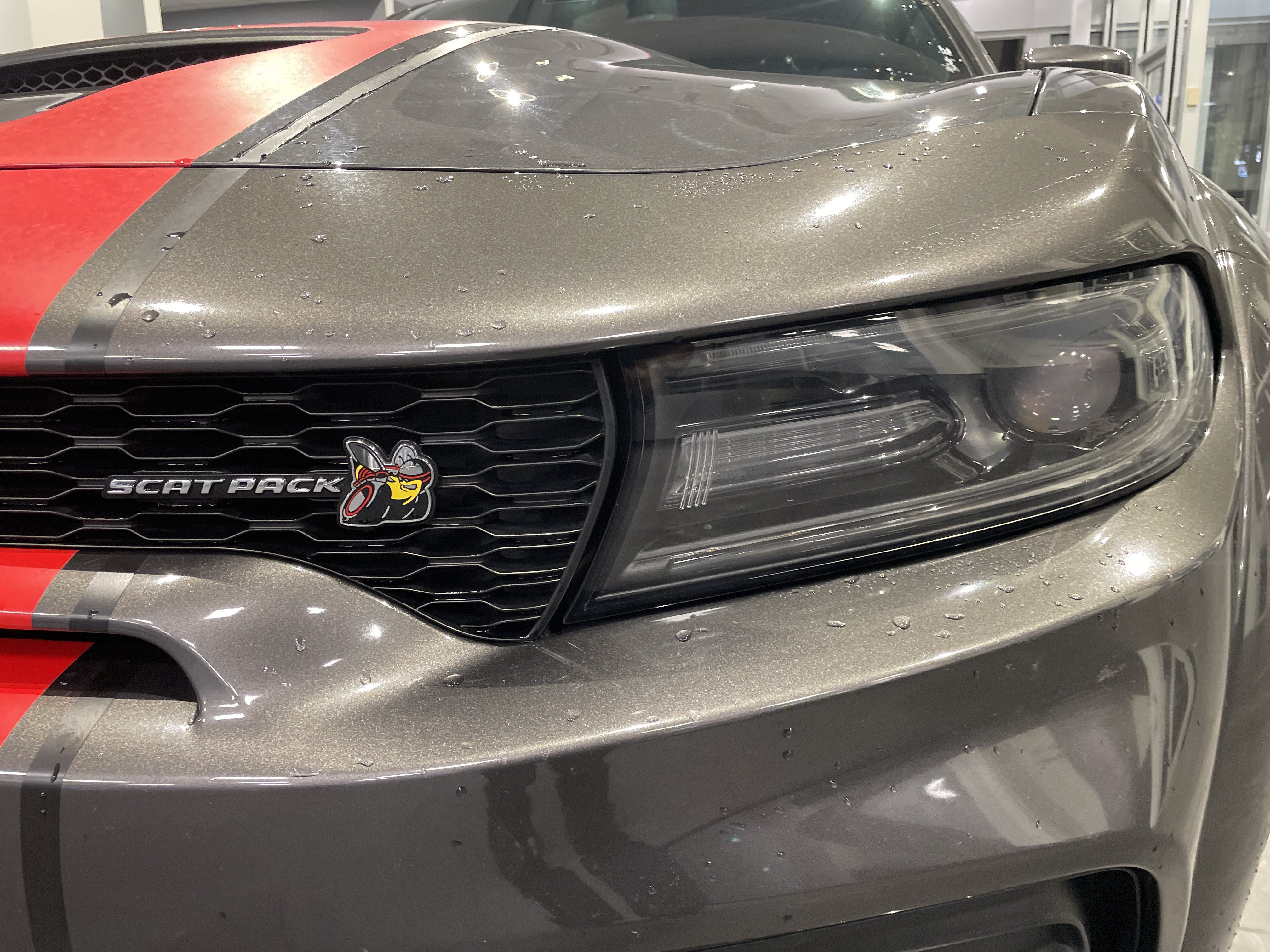 Used 2020 Dodge Charger Scat Pack RWD image 5