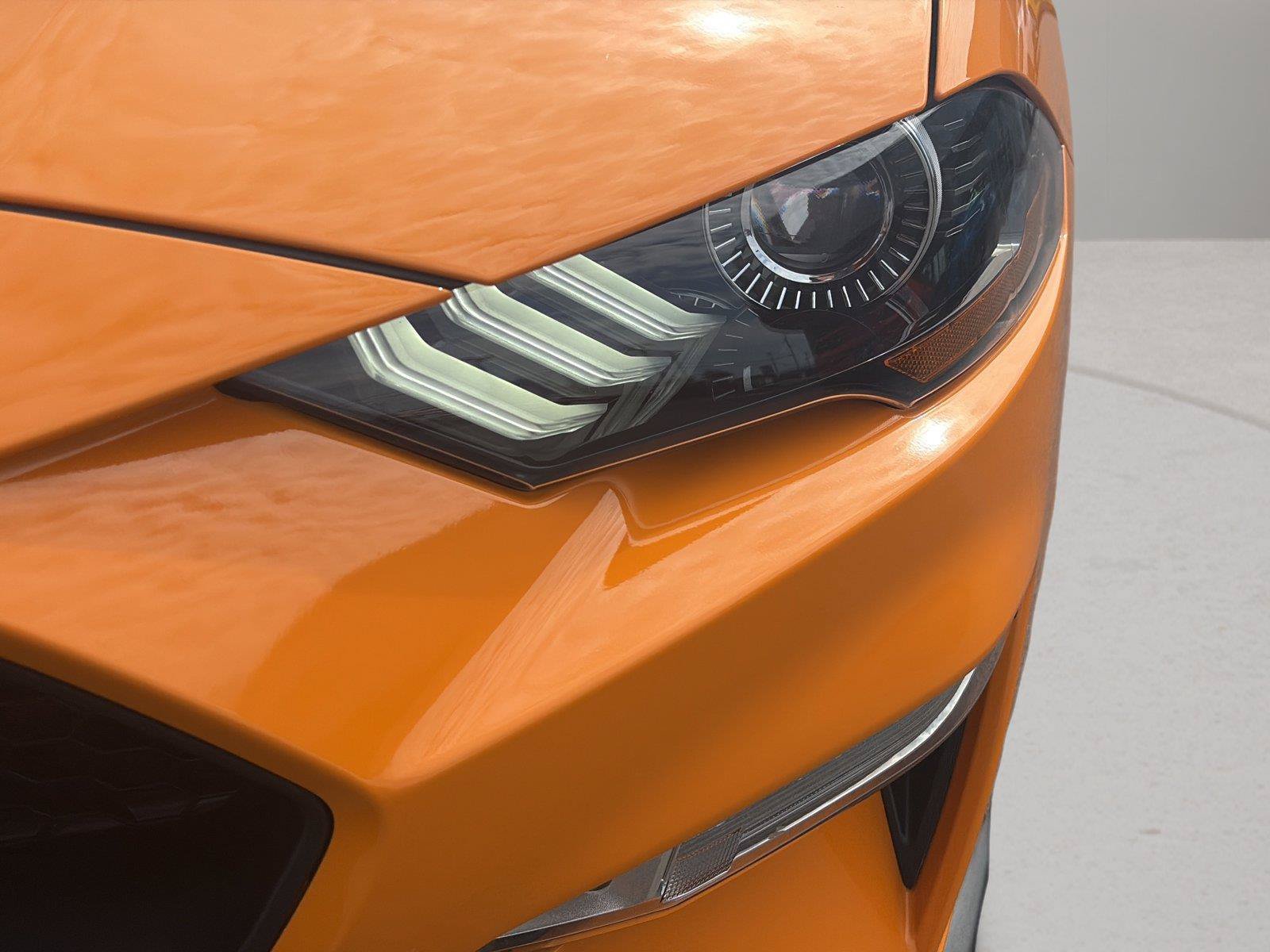 Used 2019 Ford Mustang GT RWD image 36