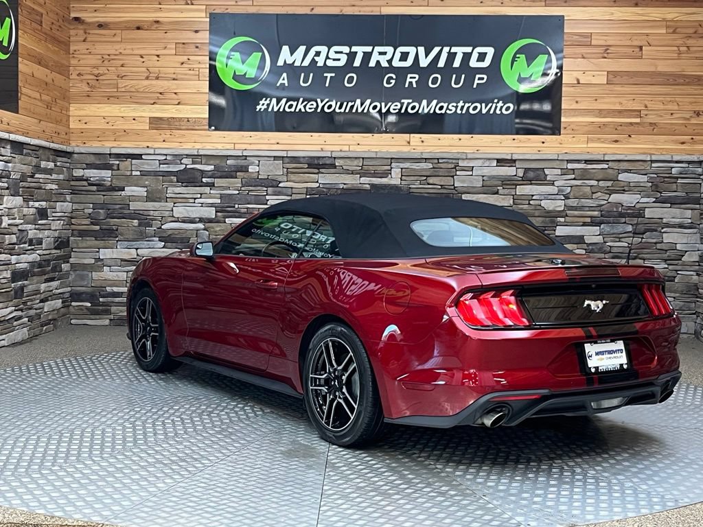 Used 2019 Ford Mustang Convertible w/ Equipment Group 101A RWD image 14