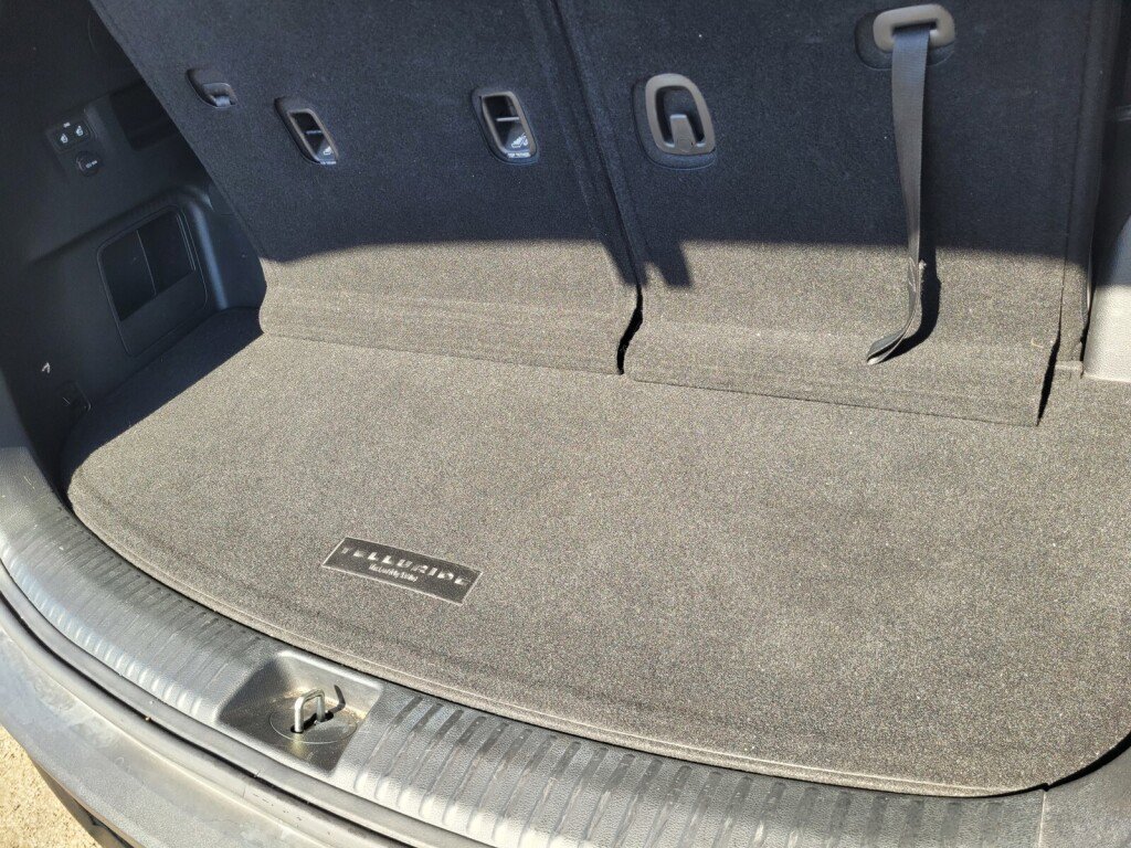 Used 2021 Kia Telluride EX w/ EX Premium Package image 18