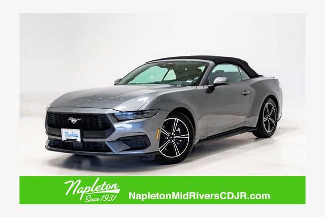 Used 2025 Ford Mustang Premium image 1