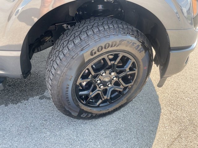 New 2025 Ford F150 XLT w/ Equipment Group 302A MID image 23