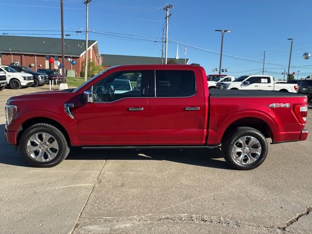 Used 2021 Ford F150 Platinum w/ Equipment Group 701A High AWD/4WD image 4