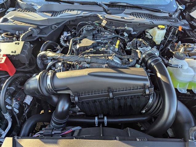 New 2026 Ford Mustang Coupe w/ Mustang Nite Pony Package image 15