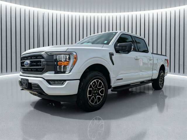 Used 2023 Ford F150 XLT w/ Equipment Group 302A High AWD/4WD image 8
