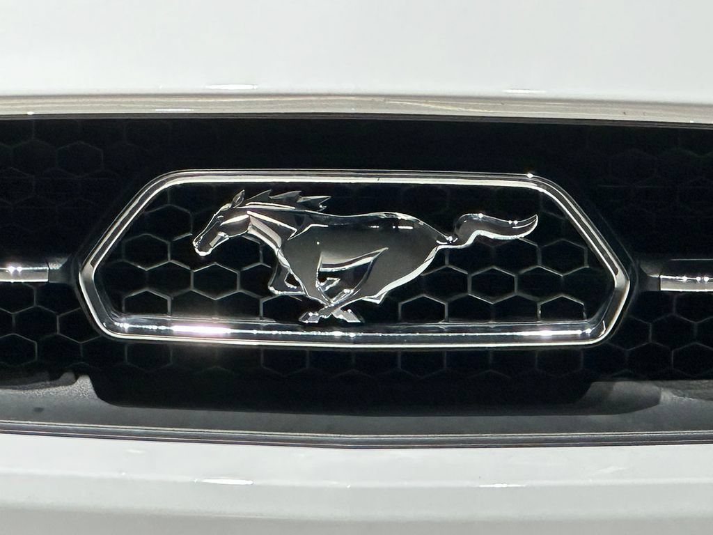 Used 2015 Ford Mustang Premium w/ Equipment Group 201A RWD image 7