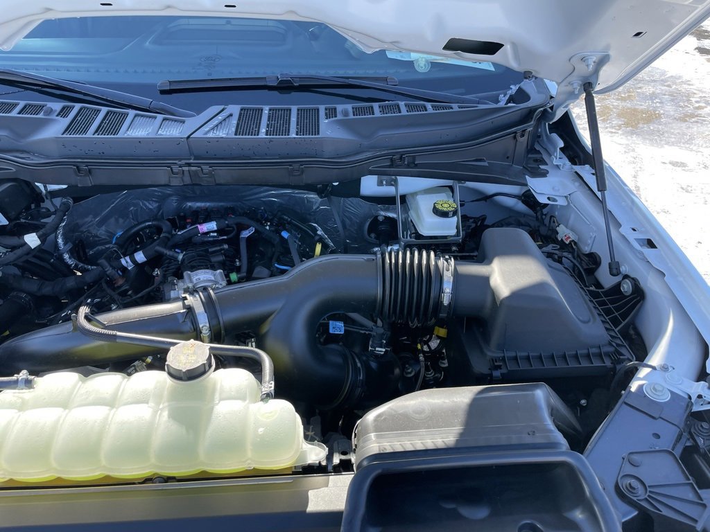 New 2025 Ford F150 STX w/ Equipment Group 200A image 39