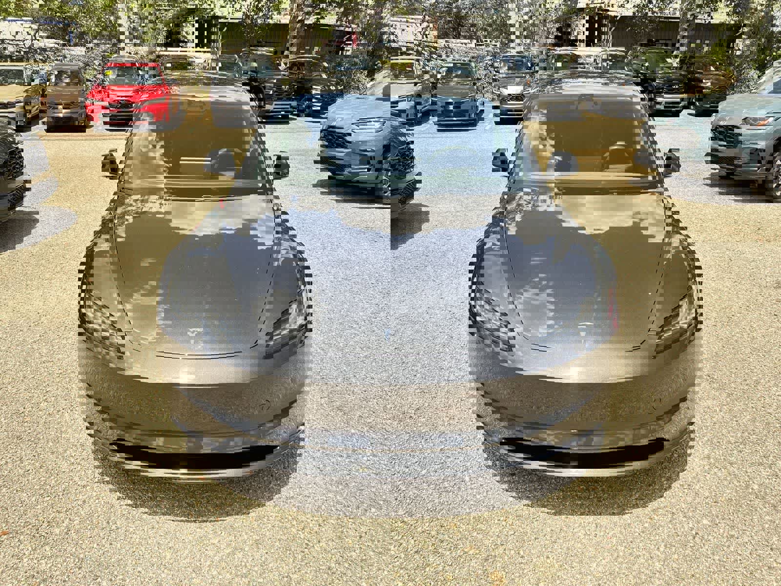 Used 2024 Tesla Model 3 Standard Range RWD image 3