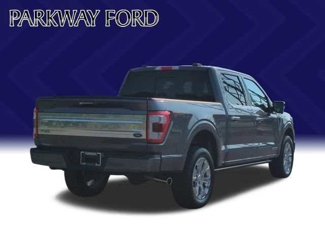 Certified 2023 Ford F150 Platinum w/ Equipment Group 701A High AWD/4WD image 5