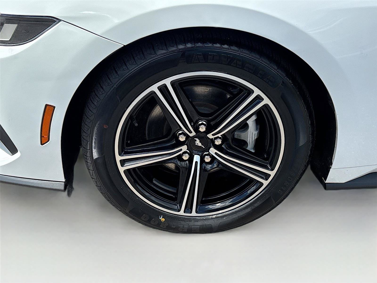 Used 2024 Ford Mustang Premium RWD image 28