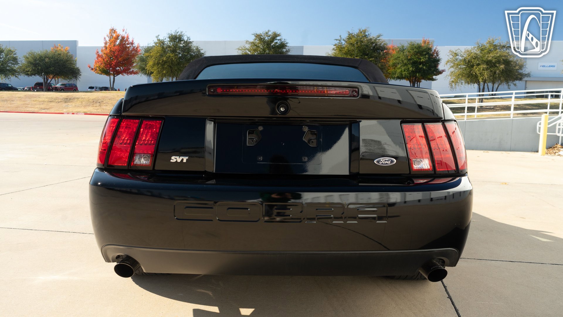 Used 2003 Ford Mustang Cobra image 12
