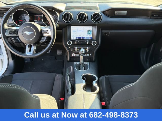 Certified 2022 Ford Mustang EcoBoost w/ Equipment Group 101A image 11