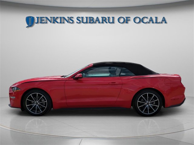 Used 2019 Ford Mustang Premium w/ Equipment Group 201A image 5