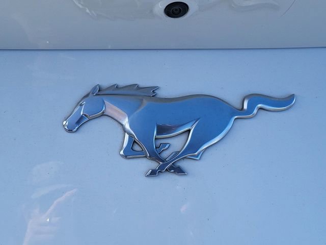 Used 2024 Ford Mustang Premium image 7