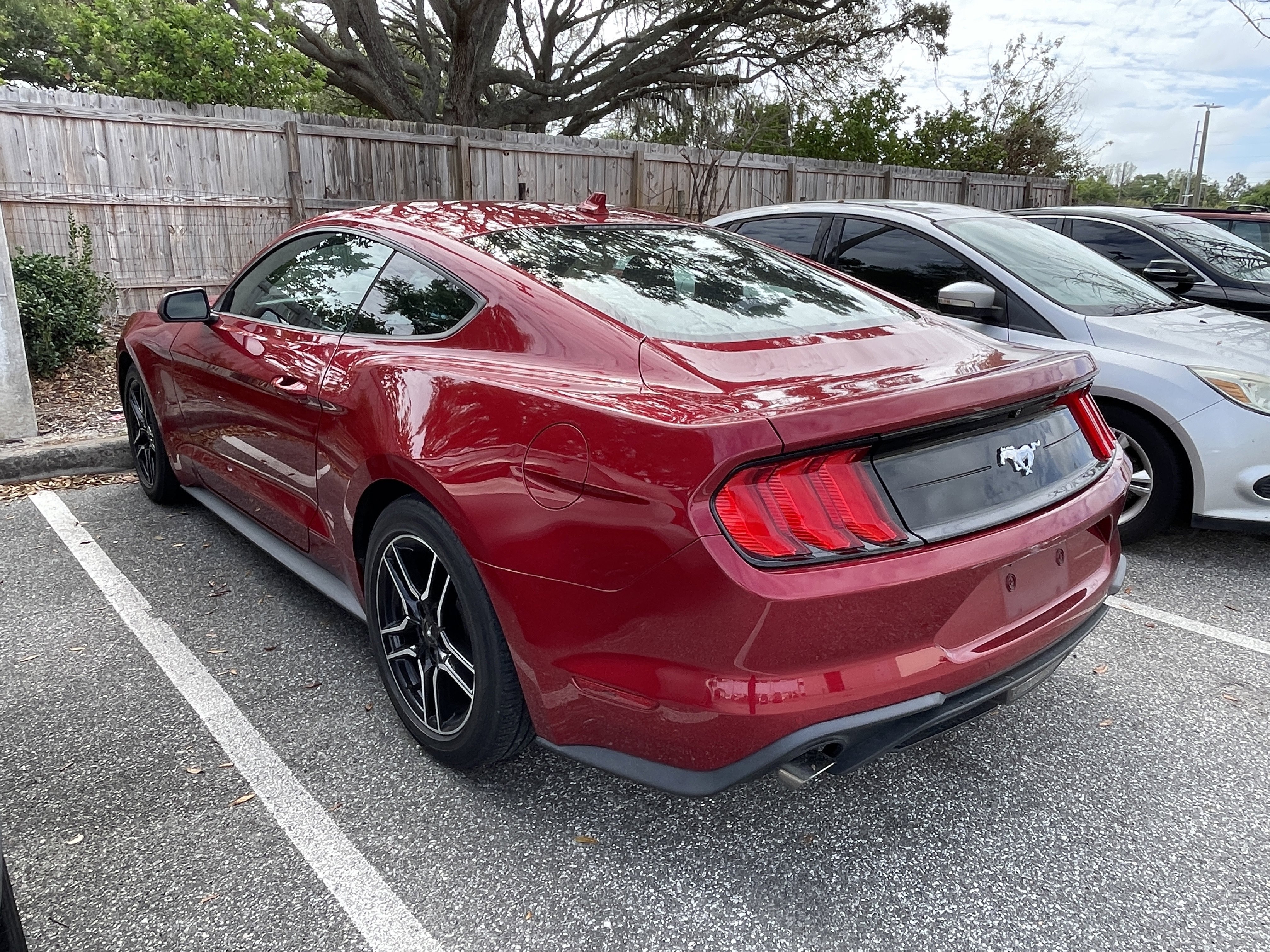 Used 2021 Ford Mustang Coupe w/ Equipment Group 101A image 6