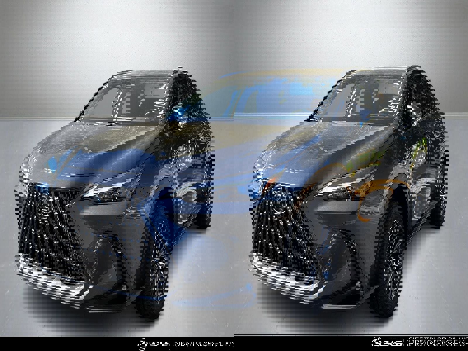 Used 2025 Lexus NX 350h 350h Premium w/ Cold Area Package image 6
