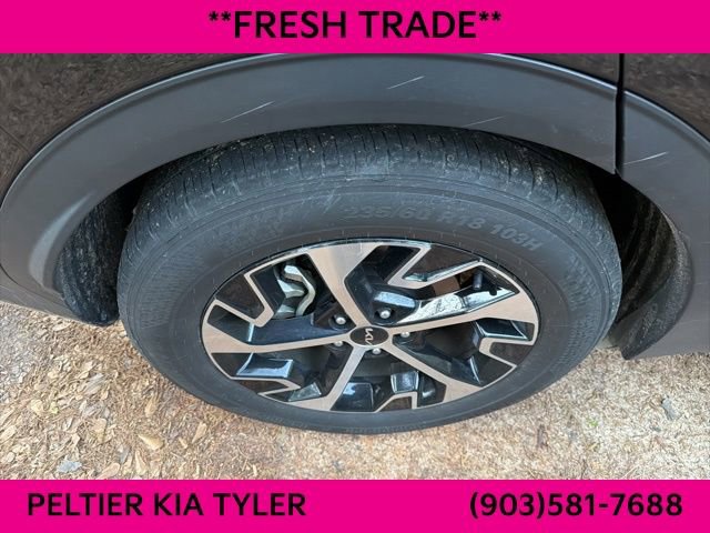 Certified 2024 Kia Sportage EX image 13