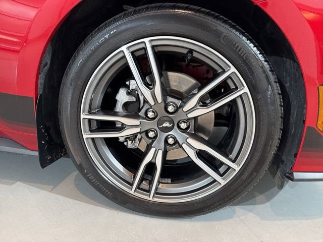 Used 2024 Ford Mustang Premium image 12