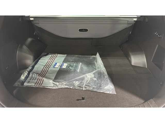 Used 2019 Hyundai Santa Fe AWD image 31
