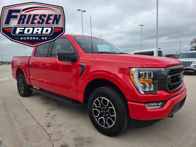 Used 2023 Ford F150 XLT w/ Equipment Group 302A High AWD/4WD image 3