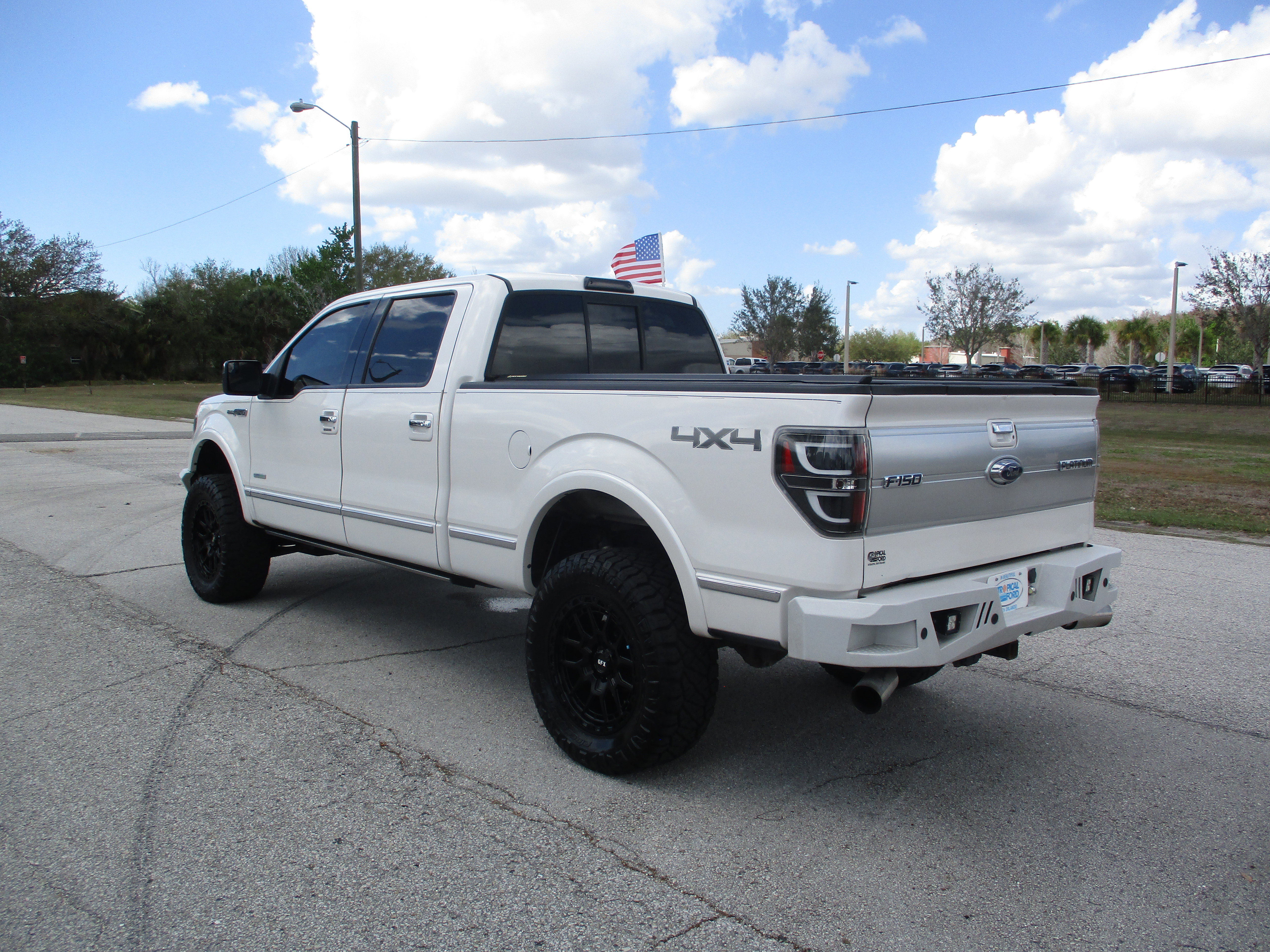 Used 2014 Ford F150 Platinum image 5