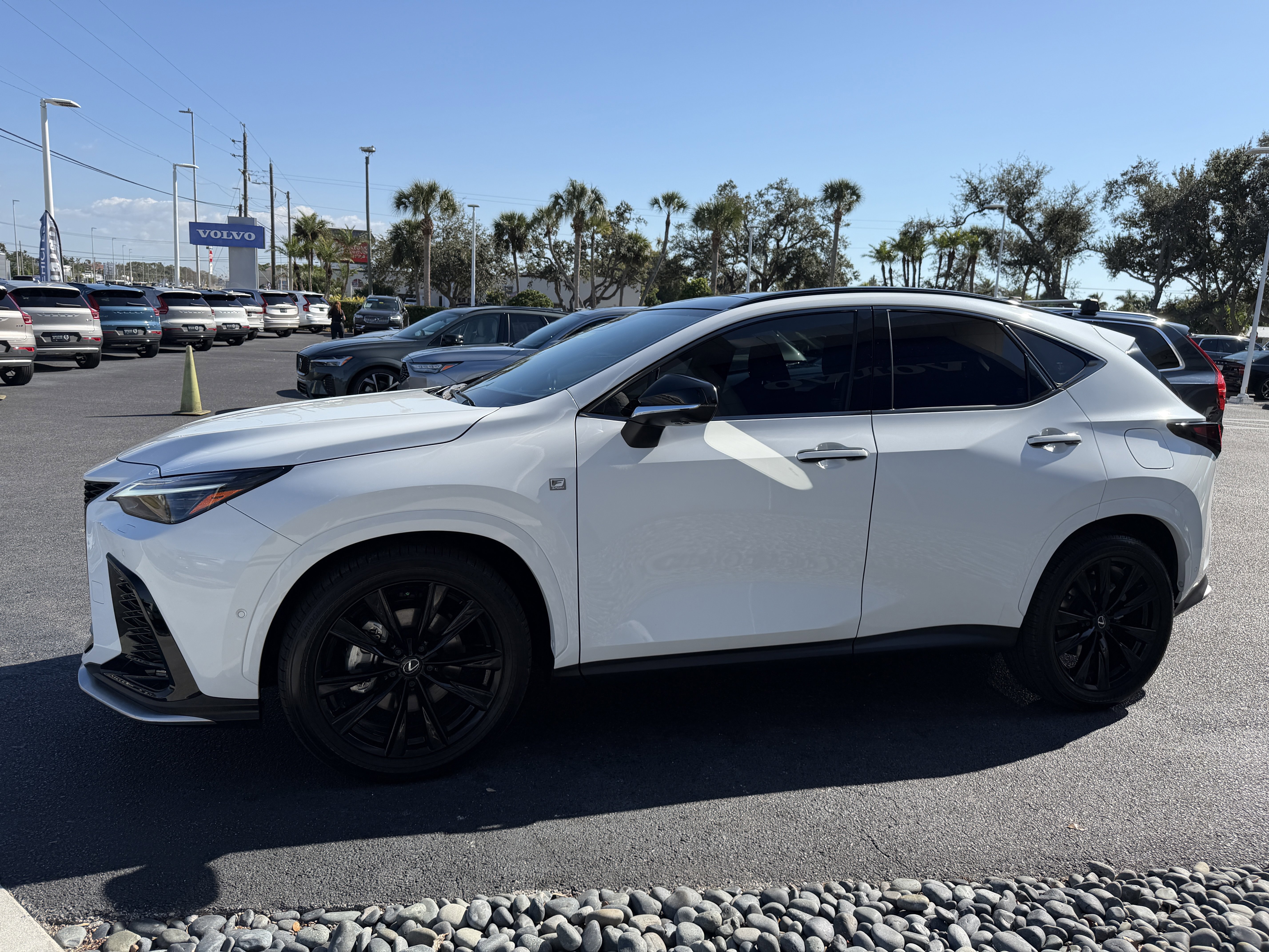 Used 2025 Lexus NX 450h+ F Sport image 5