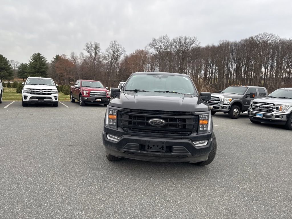 Used 2023 Ford F150 XLT w/ Equipment Group 302A High image 2