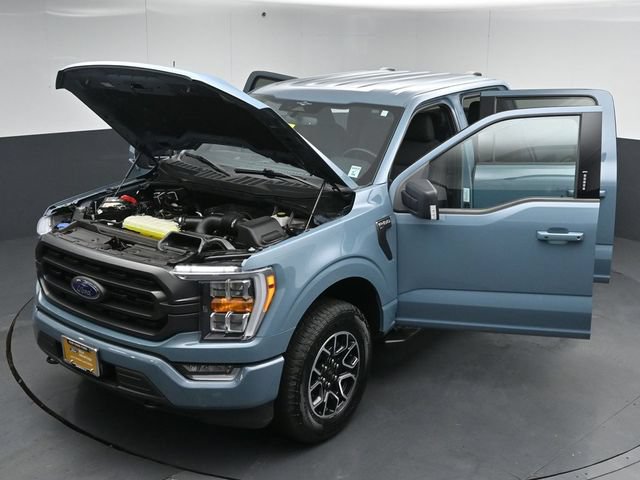 Certified 2023 Ford F150 XLT w/ Equipment Group 302A High AWD/4WD image 55