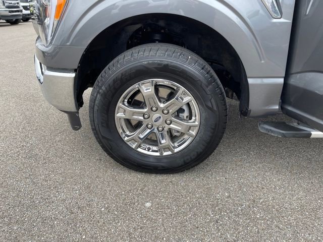 Used 2023 Ford F150 XLT w/ Equipment Group 302A High image 33