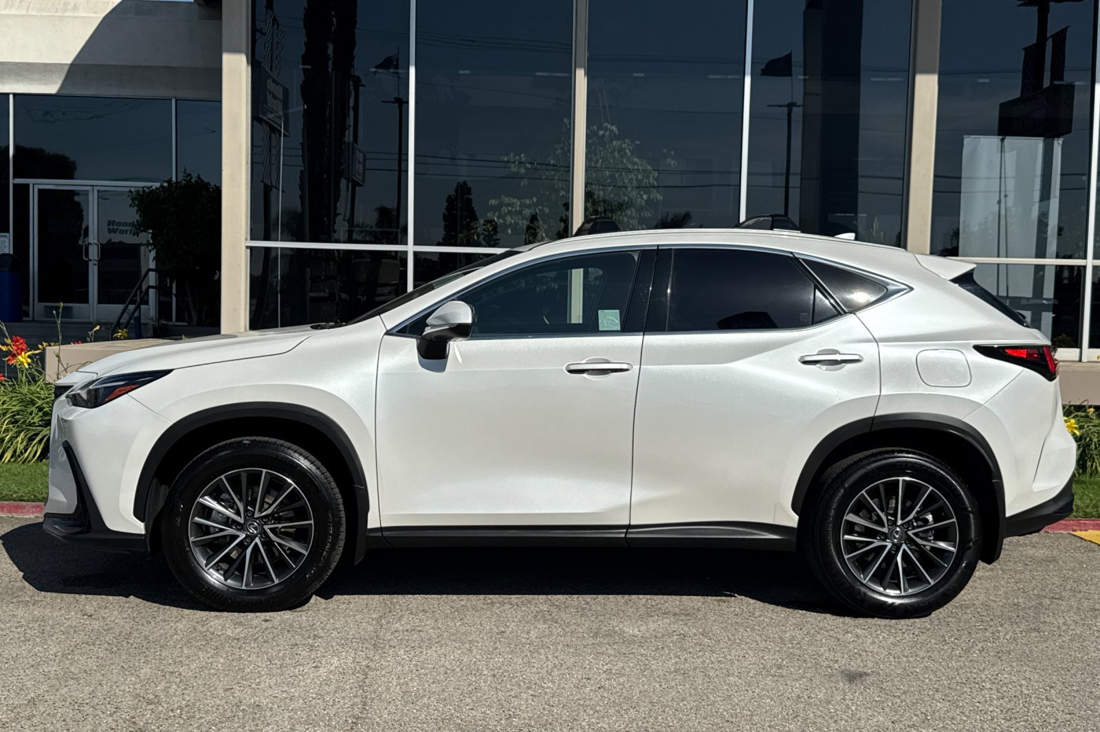 Used 2024 Lexus NX 350h AWD image 7