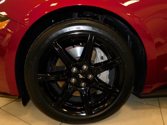 Used 2019 Ford Mustang GT Premium w/ Equipment Group 401A image 9