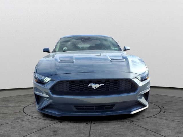 Used 2023 Ford Mustang Coupe RWD image 2