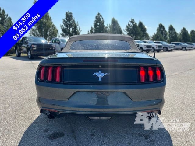 Used 2015 Ford Mustang Convertible w/ Equipment Group 051A image 5