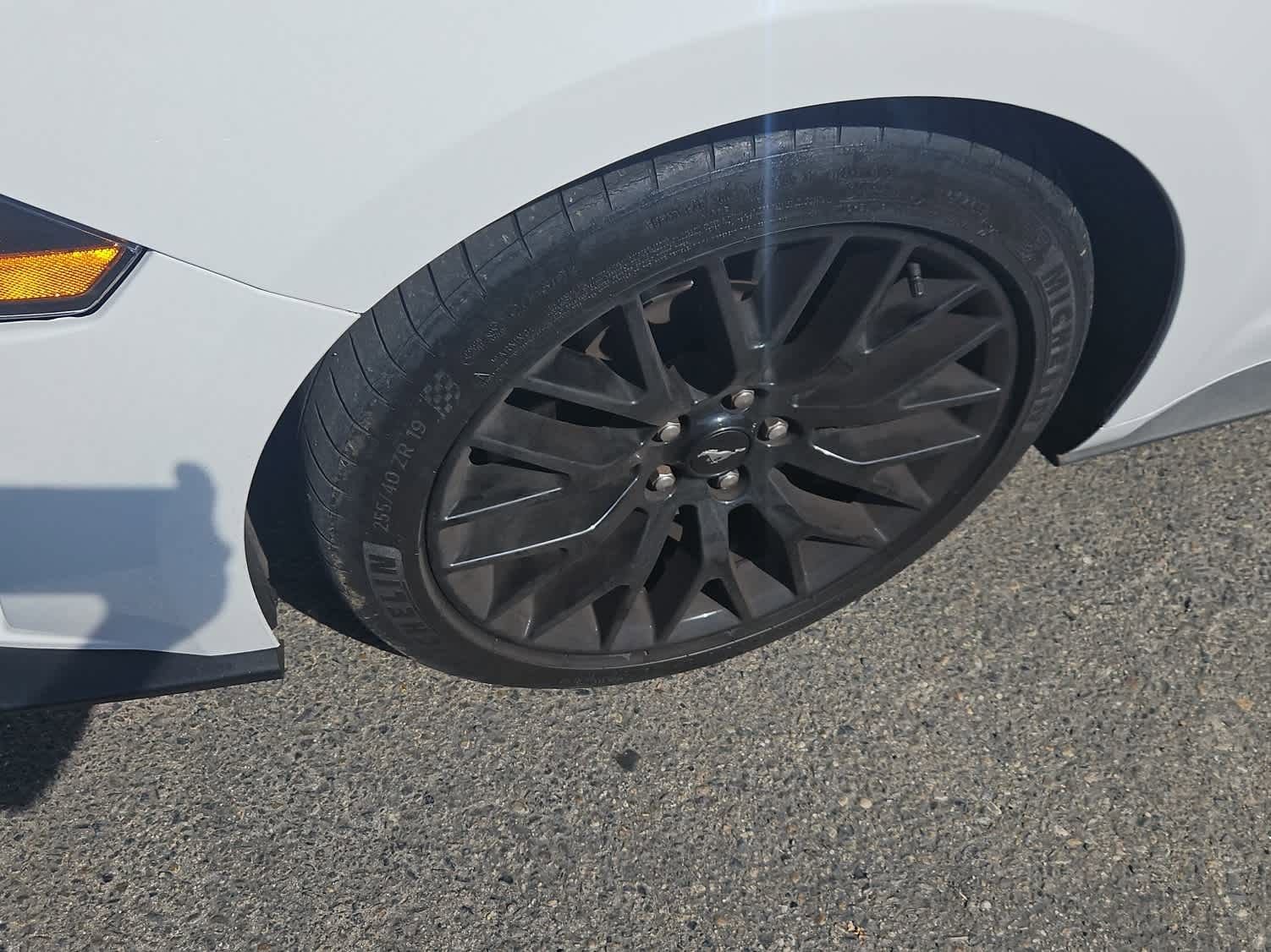 Used 2019 Ford Mustang GT Premium image 3