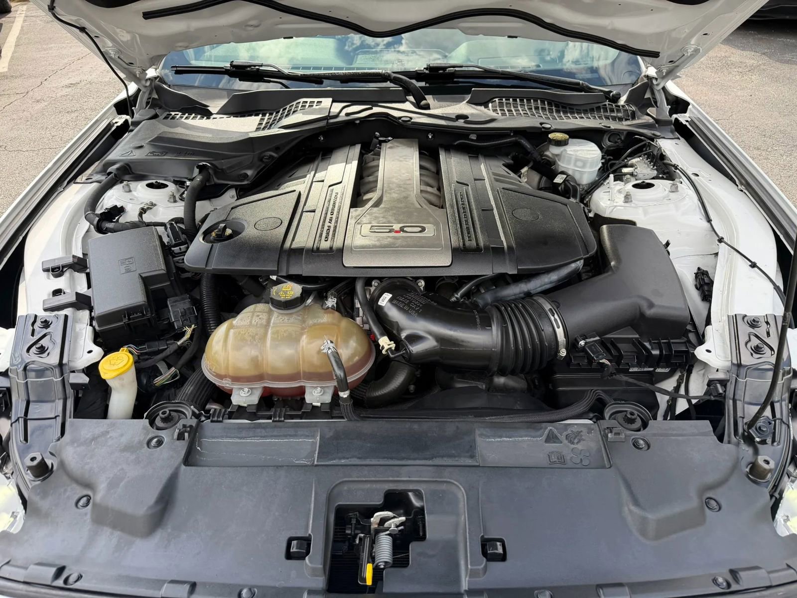 Used 2019 Ford Mustang GT w/ Black Accent Package RWD image 22